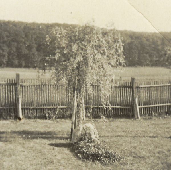 Datei:Grab Leonard Nelson.jpg